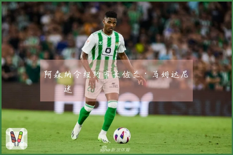 阿森纳令纽约市长佐兰·马姆达尼着迷