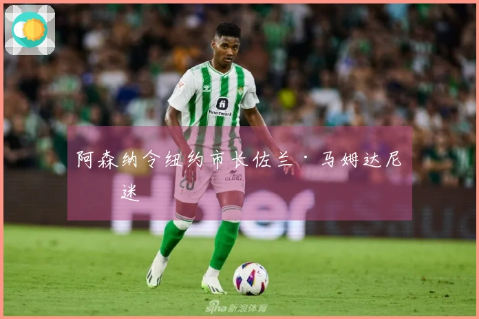 阿森纳令纽约市长佐兰·马姆达尼着迷